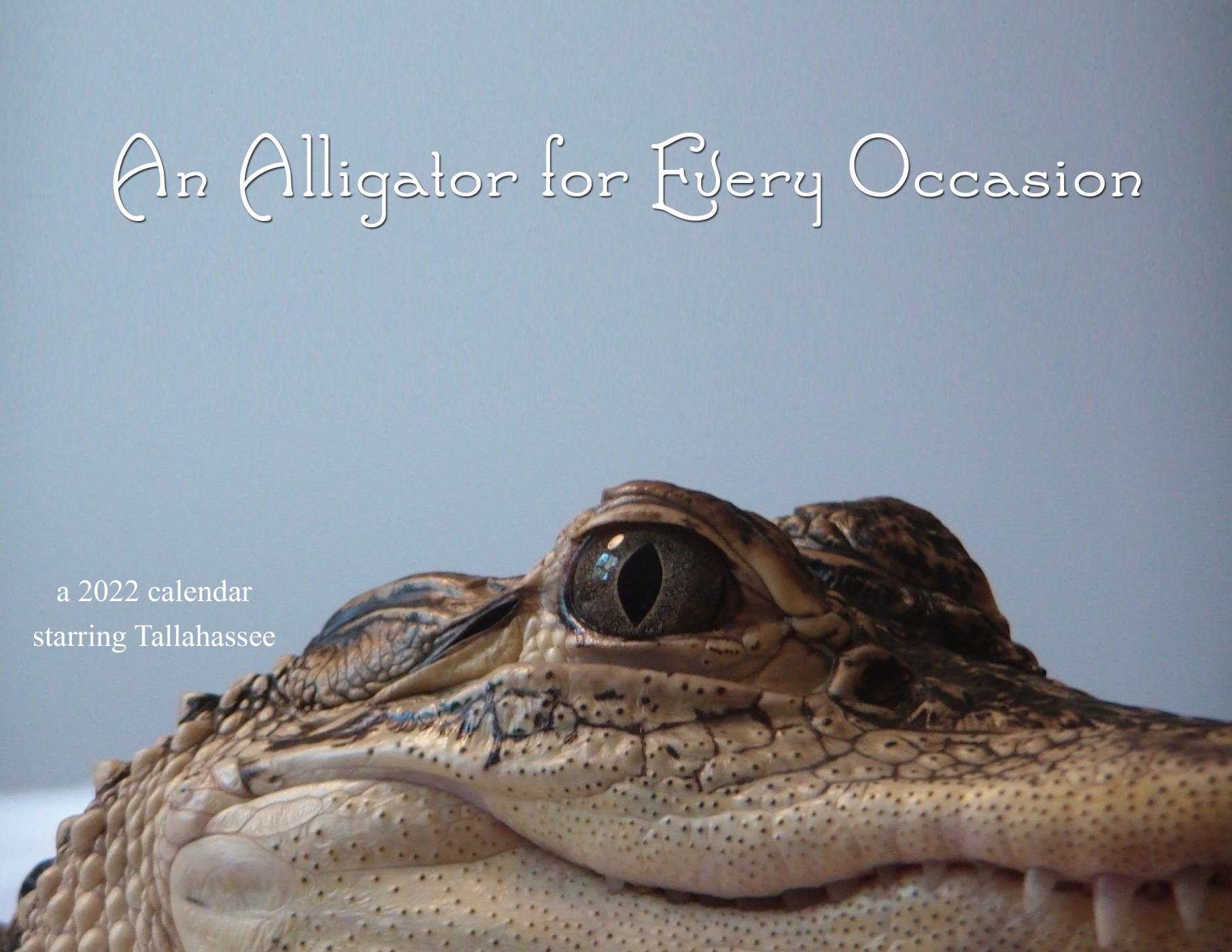 An Alligator for Every Occasion- Calendar 2022