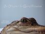 An Alligator for Every Occasion- Calendar 2022