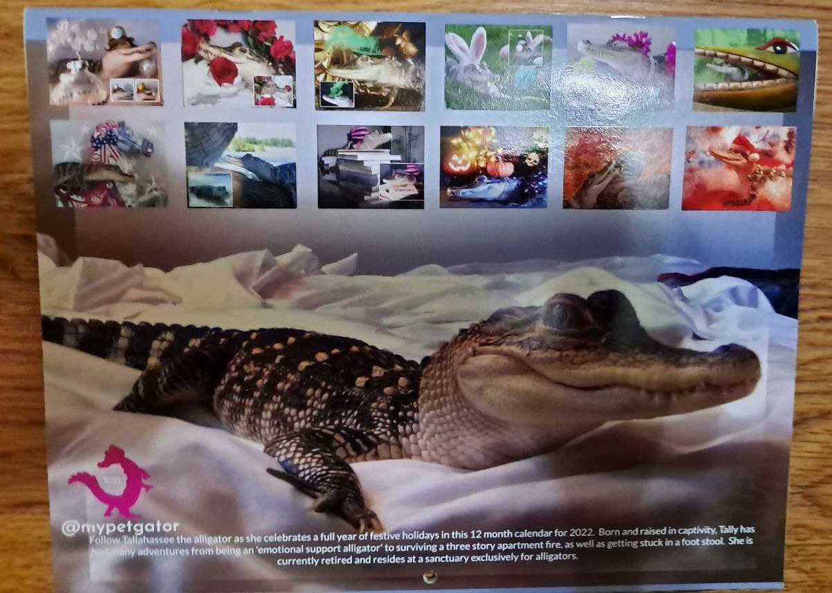 An Alligator for Every Occasion- Calendar 2022