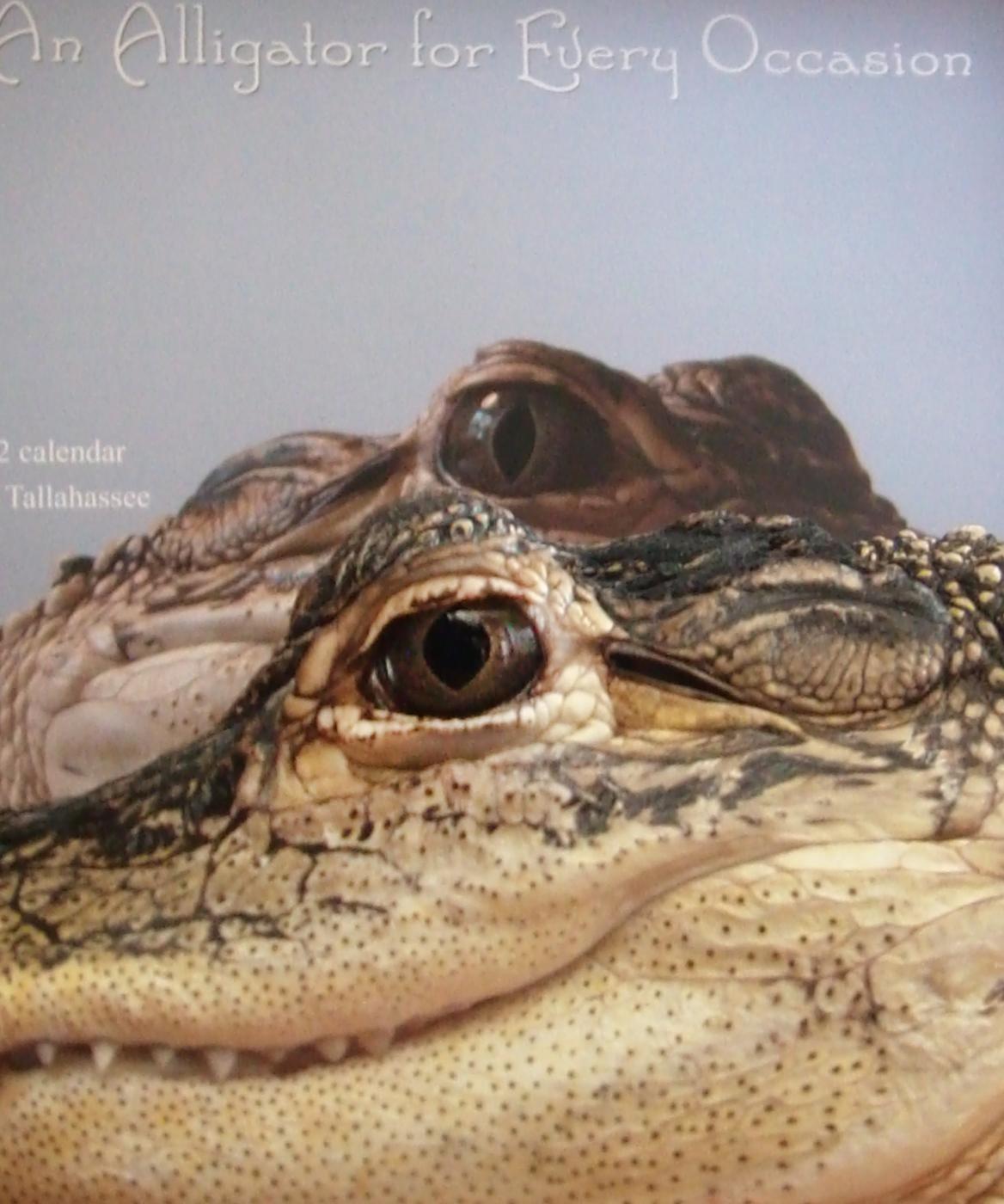 An Alligator for Every Occasion- Calendar 2022